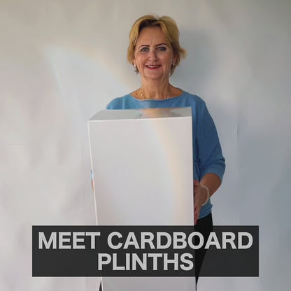 Cardboard Plinths &amp; Pedastals